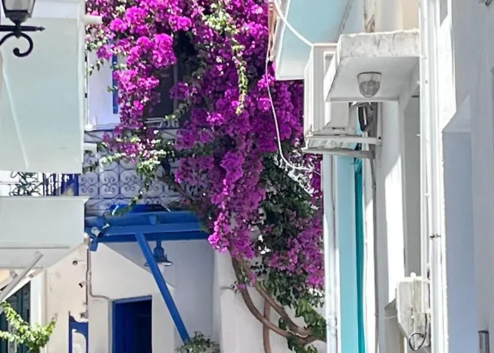 G-house Case de vacanță *